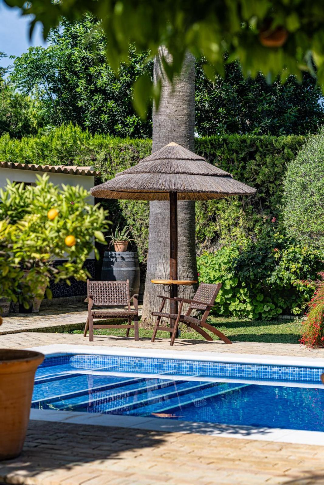 B&B Casa Adelante Sevilla エスパルティナス エクステリア 写真